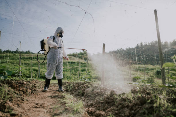 Best Mosquito Control Services  in Buffalo, WY