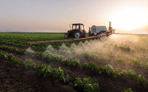 Best Pest Prevention Services  in Buffalo, WY