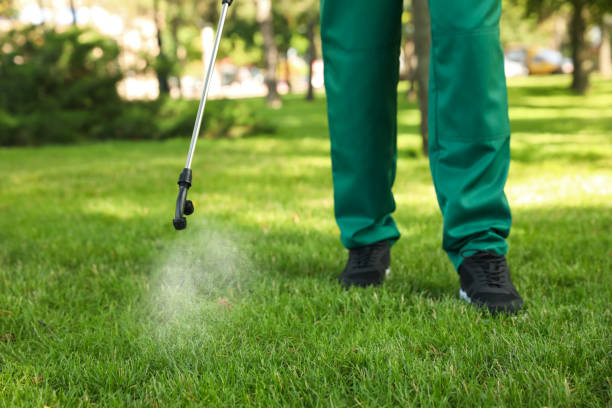 Best Pest Removal Services  in Buffalo, WY