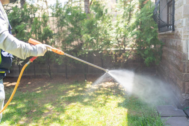Best Flea Control Services  in Buffalo, WY