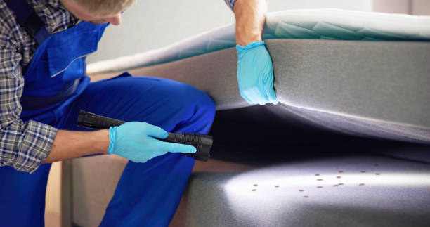 Best Pest Control Cost  in Buffalo, WY