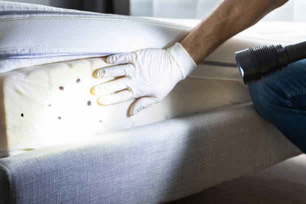 Pest Control Cost in Buffalo, WY