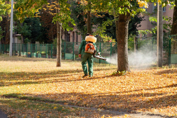 Best Exterminator Services  in Buffalo, WY