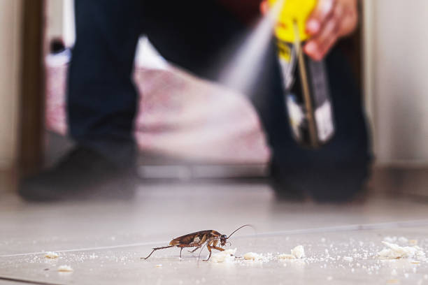 Best Emergency Pest Control  in Buffalo, WY