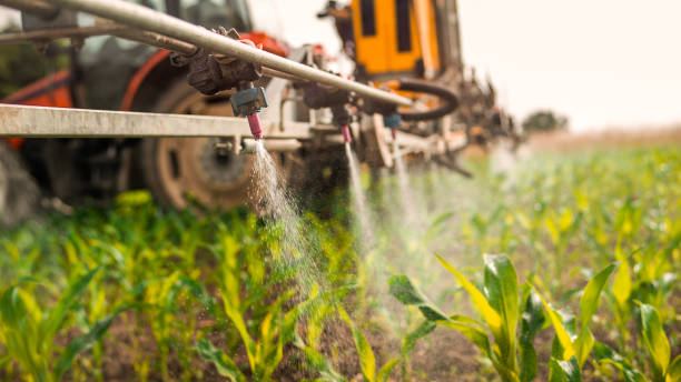 Best Best Pest Control Companies  in Buffalo, WY